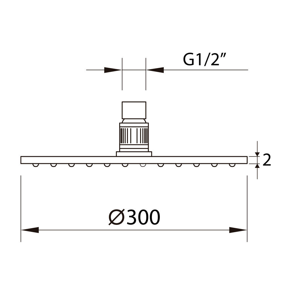 Pommeau de douche Slim Air Gold