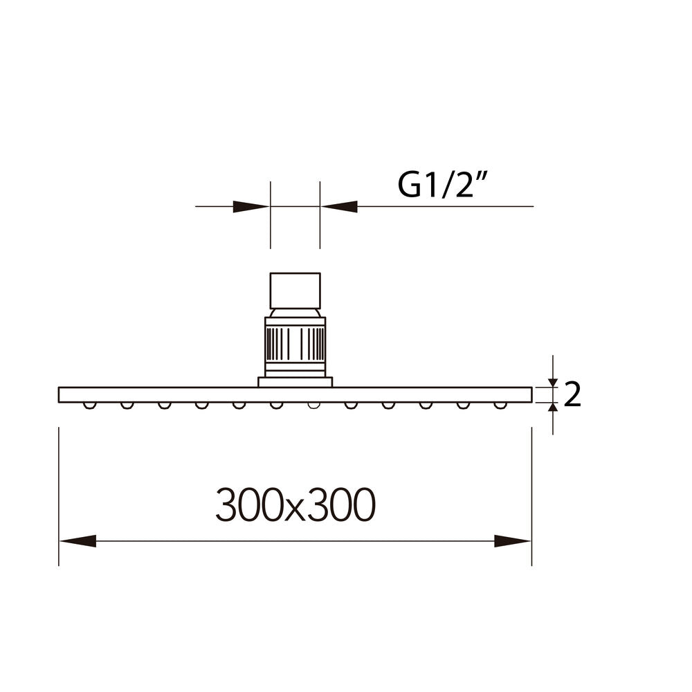 Pommeau de douche Slim Air Inox Waterfall 300x300