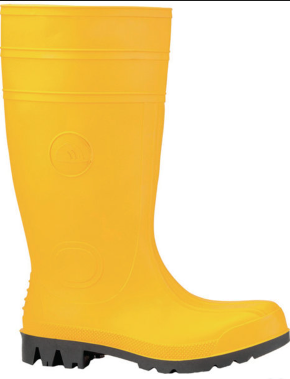 Bottes Wellington Euromaster