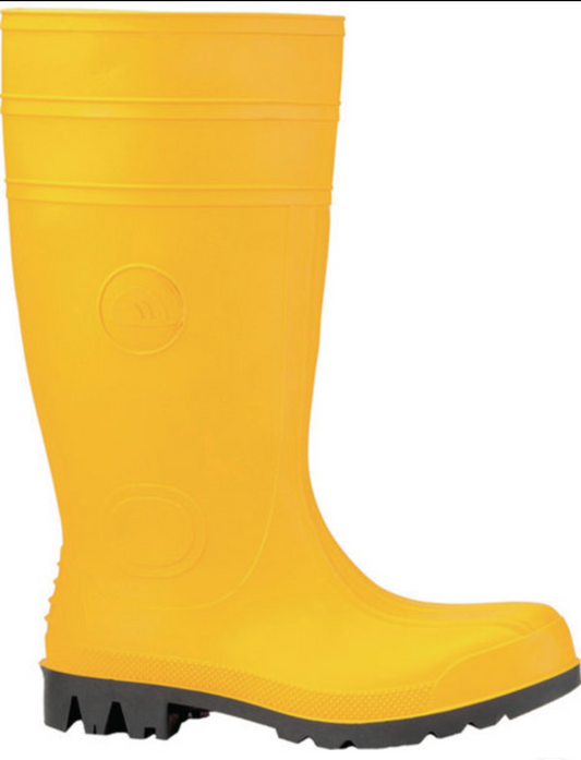 Bottes Wellington Euromaster