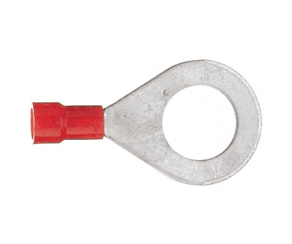 Langue annulaire rouge ou bleue